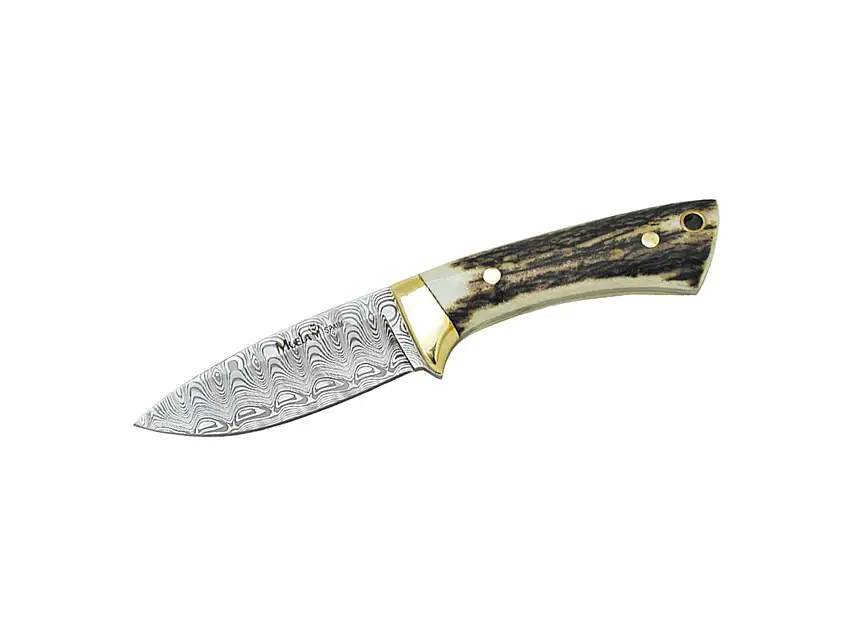 Muela Colibri Stag Damascus Inox 7DM