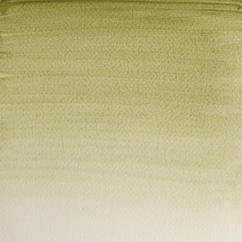 Winsor & Newton Aquarellfarbe Professional 1/2 Napf, Grüne Erde Gelbton (638)