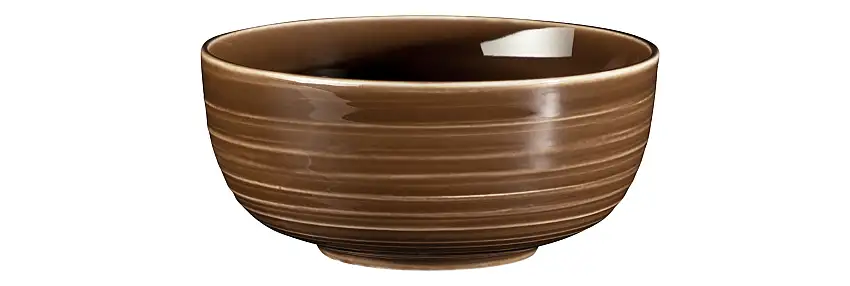 Seltmann Weiden, Terra : Erdbraun - Müslischale 15 cm