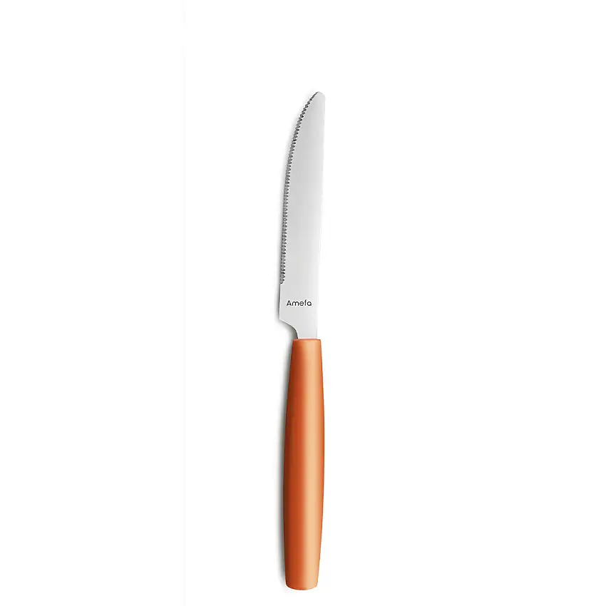 Amefa, Pixel 2515 : Mango - Vorspeisemesser ChrSt. 193 mm