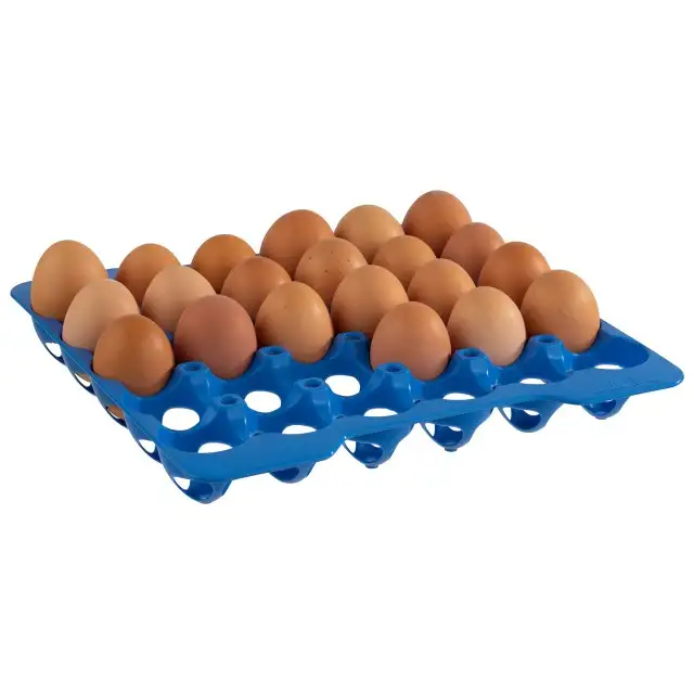 APS 4 Lagen zu Eier-Box je 28 x 28 cm , Polystyrol