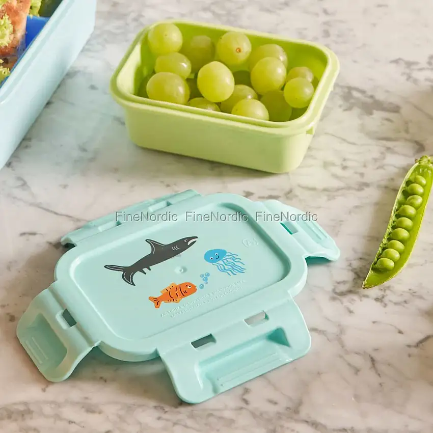 Rice Lunchbox - Luftdichter Deckel - "Wildlife" - Mint - Klein