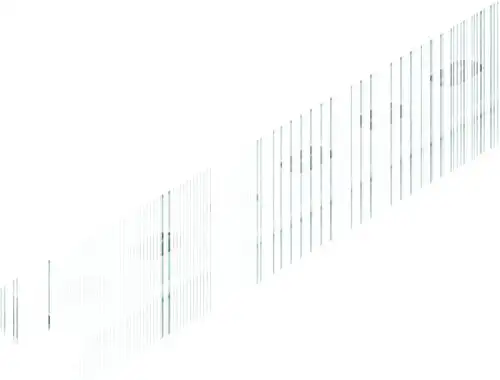 Niedax 2970/2 SL PROFILSCHIENE 2 METER